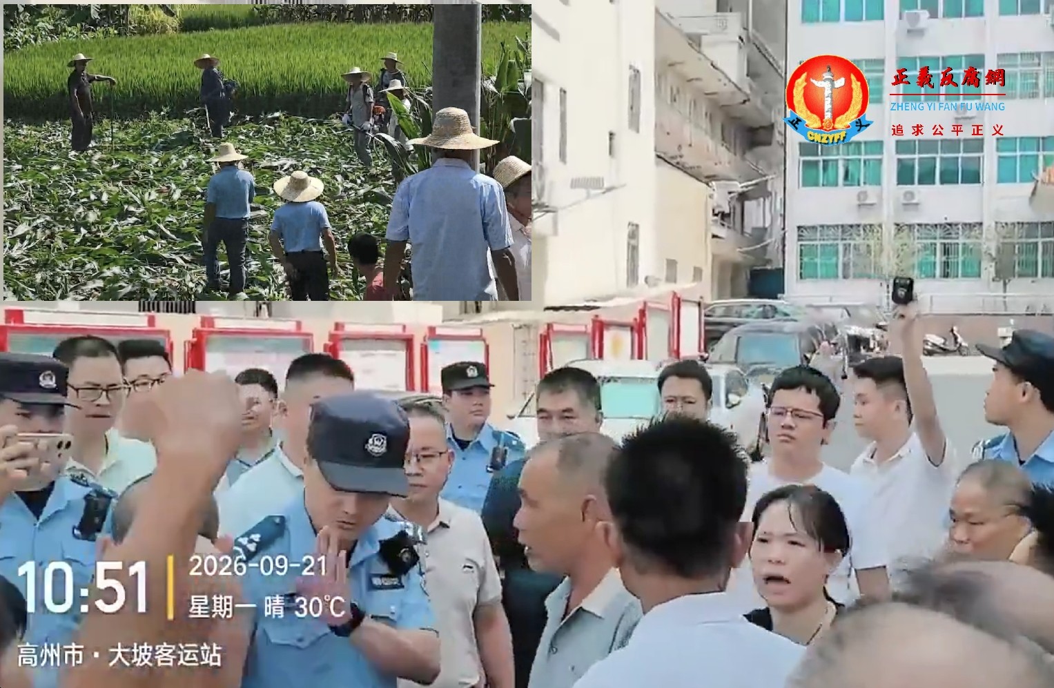微视频｜广东高州政府以“土地污染”强收农作物酿命案，村民聚镇政府抗议